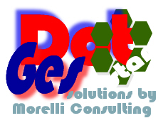 GesDotStar Service - Morelli Consulting